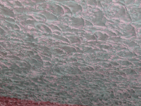 imgp0011.gif